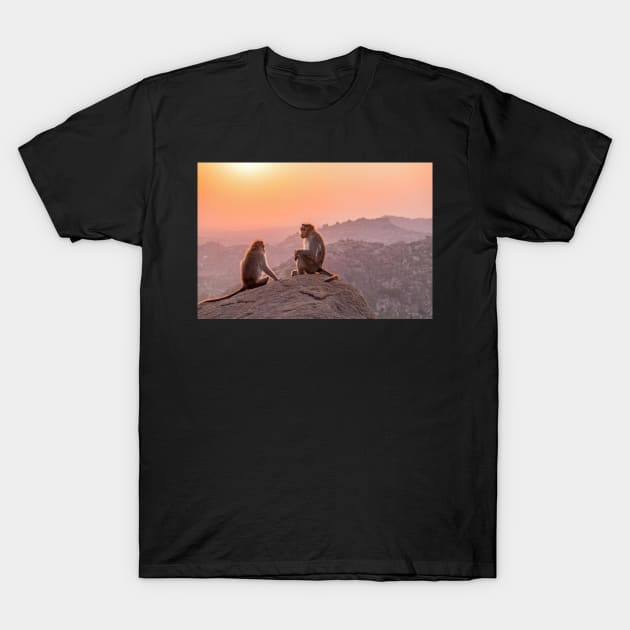 Hampi temple monkeys, India T-Shirt by geoffshoults